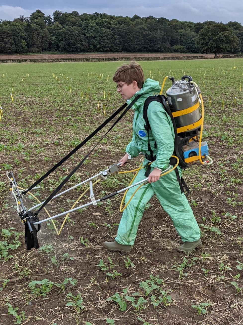 Spraying biopesticides on oilseed rape (© Tom Pope)